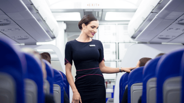 10 Physical and Beauty Standards That a Flight Attendant Must Have